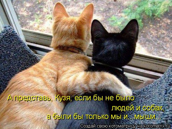 А представь, Кузя, если бы не было людей и собак, а были бы только мы и...мыши...... Котоматрица: А представь, Кузя, если бы не было людей и собак, а были бы только мы и...мыши...