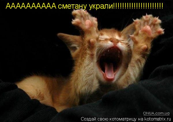 AAAAAAAAAA сметану украли!!!!!!!!!!!!!!!!!!!!!!... Котоматрица: AAAAAAAAAA сметану украли!!!!!!!!!!!!!!!!!!!!!!
