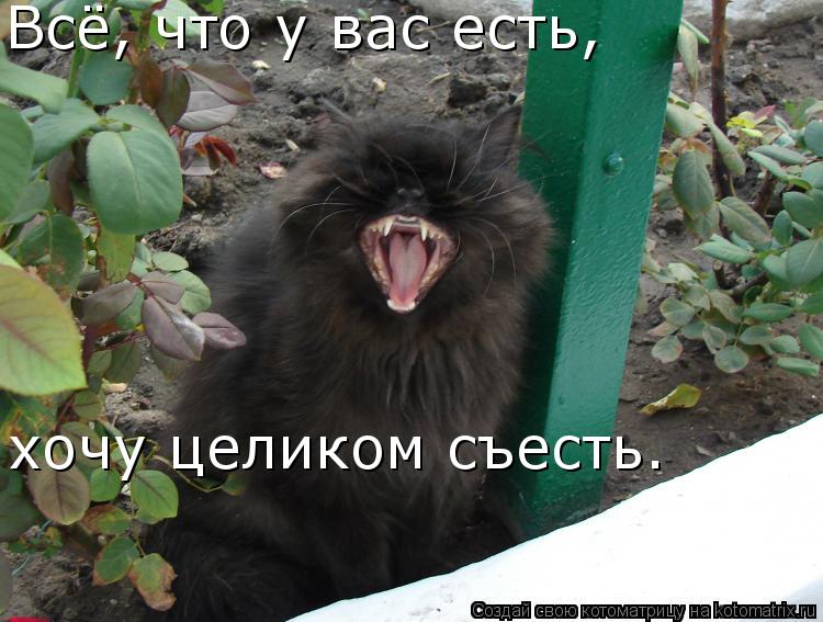 Котоматрица: Всё, что у вас есть,  хочу целиком съесть.