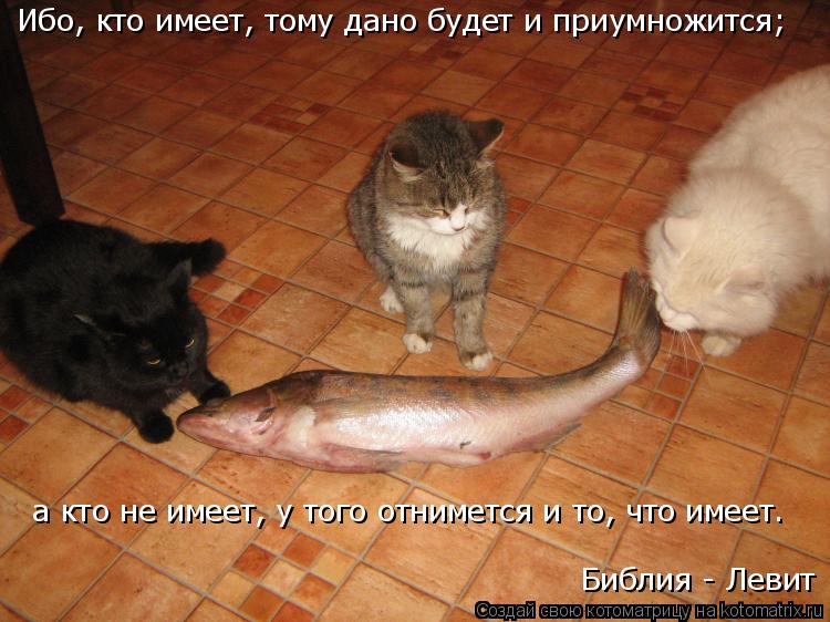 Ибо, кто имеет, тому дано будет и приумножится; а кто не имеет, у того отнимется и то, что имеет. Б... Котоматрица: Ибо, кто имеет, тому дано будет и приумножится; а кто не имеет, у того отнимется и то, что имеет. Библия - Левит