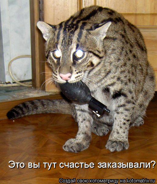 Это вы тут счастье заказывали?... Котоматрица: Это вы тут счастье заказывали?