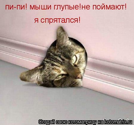 пи-пи! мыши глупые!не поймают! я спрятался!... Котоматрица: пи-пи! мыши глупые!не поймают! я спрятался!