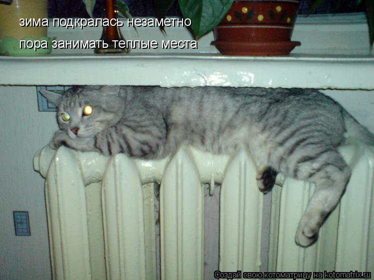 зима подкралась незаметно пора занимать теплые места... Котоматрица: зима подкралась незаметно пора занимать теплые места