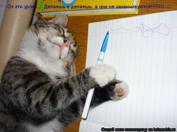 Котоматрица: Ох эти уроки...  Делаешь и делаешь, а они не заканчивуются!!!!!!!!  Ох эти уроки...  Делаешь и делаешь, а они не заканчивуются!!!!!!!!
