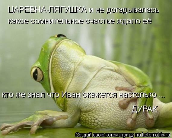 Котоматрица: ЦАРЕВНА-ЛЯГУШКА и не догадывалась какое сомнительное счастье ждало её кто же знал что Иван окажется настолько ... ДУРАК