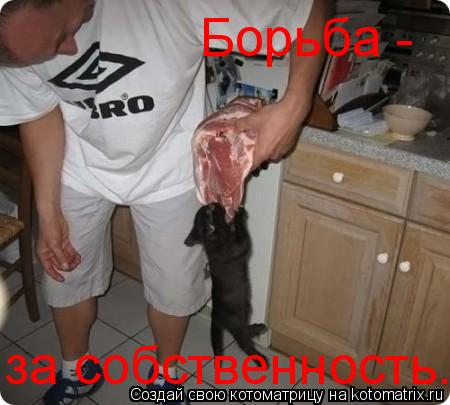 Котоматрица: Борьба - за собственность.