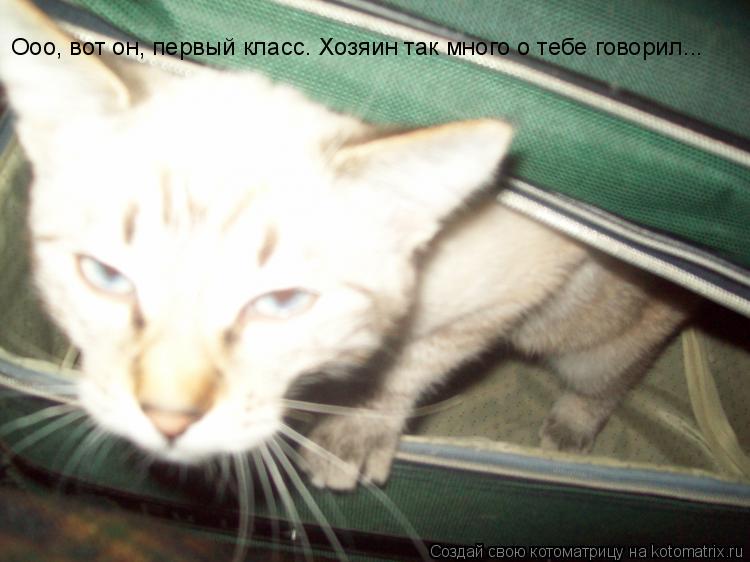 Котоматрица: Ооо, вот он, первый класс. Хозяин так много о тебе говорил...