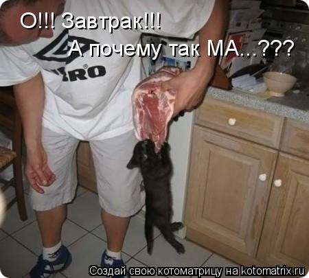 О!!! Завтрак!!! А почему так МА...???... Котоматрица: О!!! Завтрак!!! А почему так МА...???