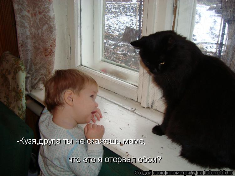 -Кузя,друг,а ты не скажешь маме, что это я оторвал обои?... Котоматрица: -Кузя,друг,а ты не скажешь маме, что это я оторвал обои?