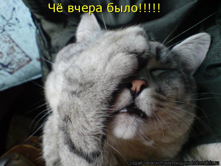 Чё вчера было!!!!!... Котоматрица: Чё вчера было!!!!!