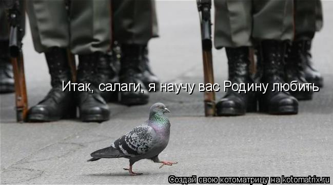 Итак, салаги, я научу вас Родину любить... Котоматрица: Итак, салаги, я научу вас Родину любить