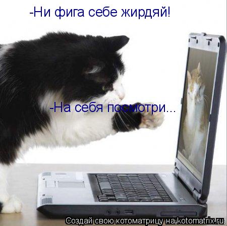 -Ни фига себе жирдяй! -На себя посмотри...... Котоматрица: -Ни фига себе жирдяй! -На себя посмотри...