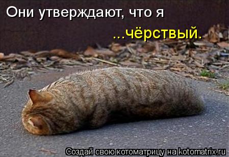 Они утверждают, что я ...чёрствый.... Котоматрица: Они утверждают, что я ...чёрствый.