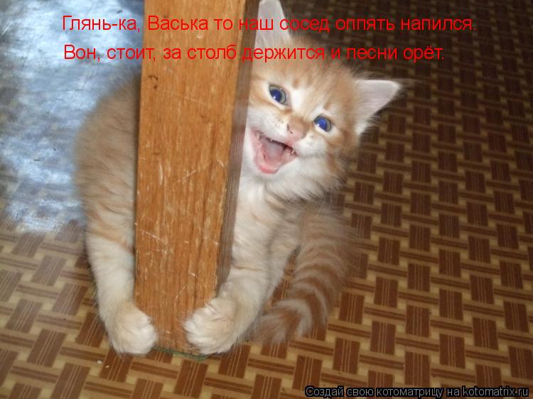 Котоматрица: Глянь-ка, Васька то наш сосед оппять напился. Вон, стоит, за столб держится и песни орёт.