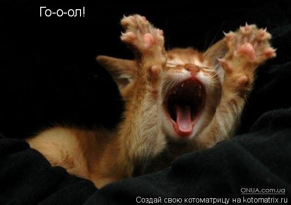 Котоматрица: Го-о-ол!