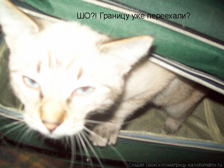 Котоматрица: ШО?! Границу уже переехали?