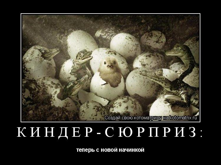 КИНДЕР-СЮРПРИЗ: теперь с новой начинкой... Котоматрица: КИНДЕР-СЮРПРИЗ: теперь с новой начинкой