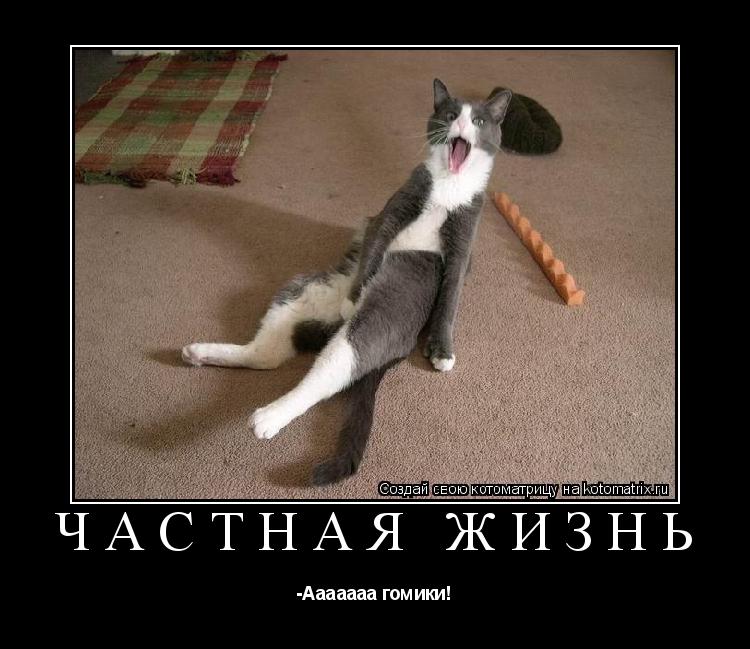 Котоматрица: Частная жизнь -Ааааааа гомики!