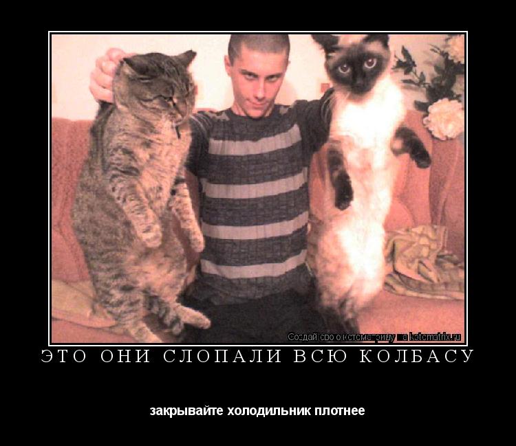 Котоматрица: ЭТО ОНИ СЛОПАЛИ ВСЮ КОЛБАСУ закрывайте холодильник плотнее