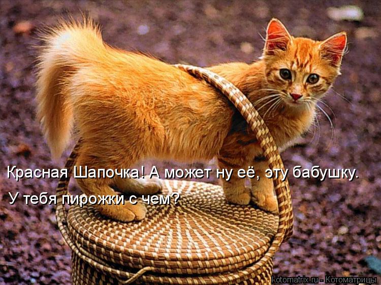 Котоматрица: Красная Шапочка! А может ну её, эту бабушку. У тебя пирожки с чем?