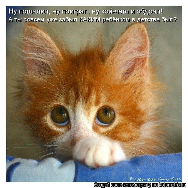 Ну пошалил, ну поиграл, ну кой-чего и обдрал! А ты совсем уже забыл КАКИМ ребёнком в детстве был?... Котоматрица: Ну пошалил, ну поиграл, ну кой-чего и обдрал! А ты совсем уже забыл КАКИМ ребёнком в детстве был?