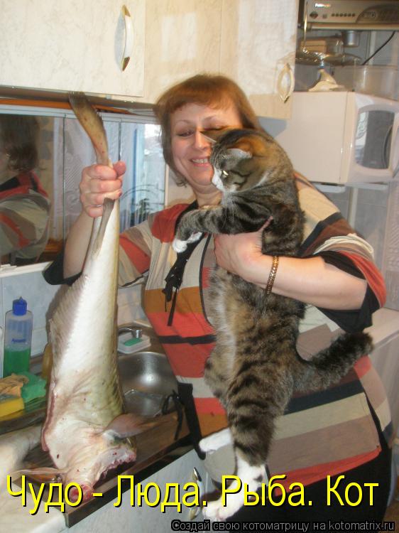 Чудо - Люда. Рыба. Кот... Котоматрица: Чудо - Люда. Рыба. Кот