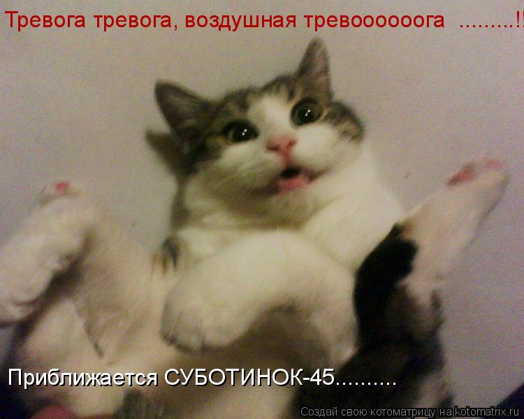 Котоматрица: Тревога тревога, воздушная тревоооооога  .........!!! Приближается СУБОТИНОК-45..........