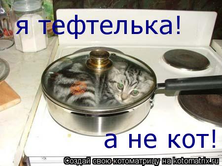 Котоматрица: я тефтелька! а не кот!