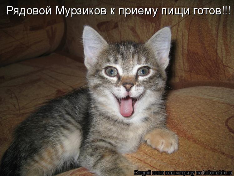 Котоматрица: Рядовой Мурзиков к приему пищи готов!!!