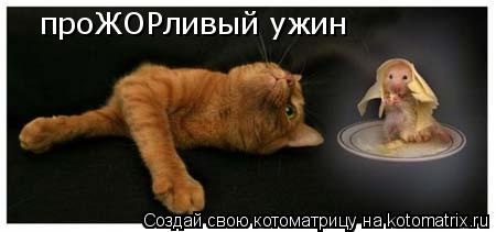 Котоматрица: проЖОРливый ужин