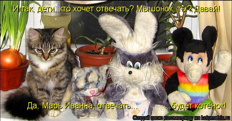 Котоматрица: Да, Марь Иванна, отвечать...            ...будет котёнок! И так, дети, кто хочет отвечать? Мышонок, ты? Давай!