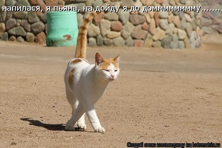 Котоматрица: напилася, я пьяна, на дойду я до домммммммму.........