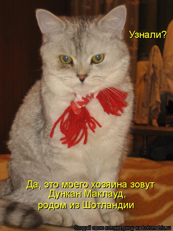 Котоматрица: Узнали? Да, это моего хозяина зовут Дункан Маклауд, родом из Шотландии