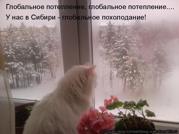 Котоматрица: Глобальное потепление, глобальное потепление.... У нас в Сибири - глобальное похолодание!