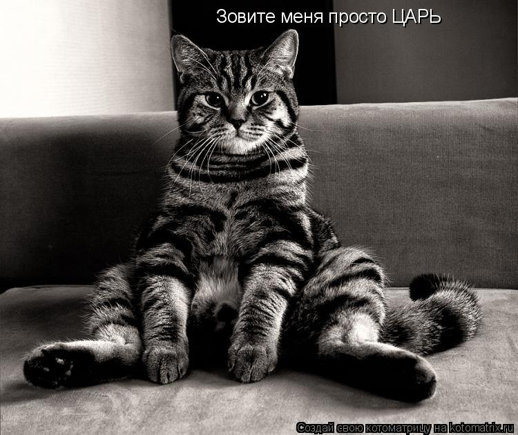 Зовите меня просто ЦАРЬ... Котоматрица: Зовите меня просто ЦАРЬ