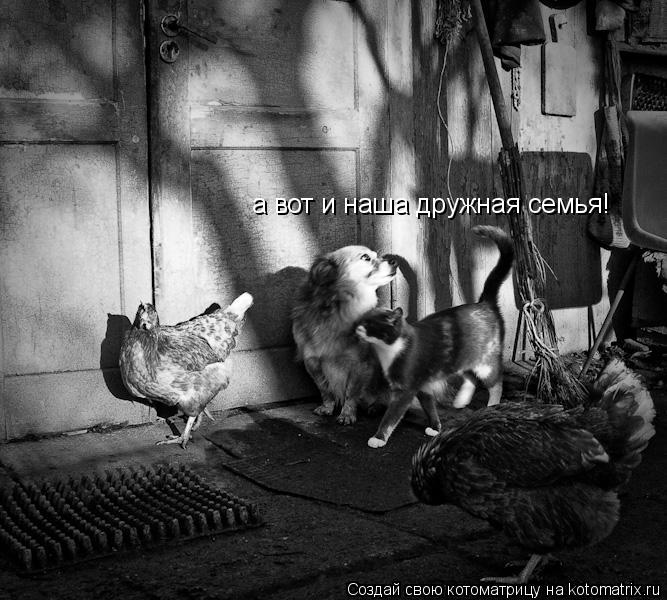 Котоматрица: а вот и наша дружная семья!