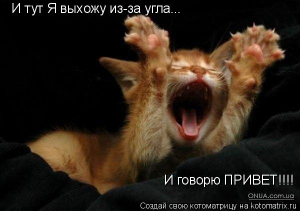 Котоматрица: И тут Я выхожу из-за угла... И говорю ПРИВЕТ!!!!