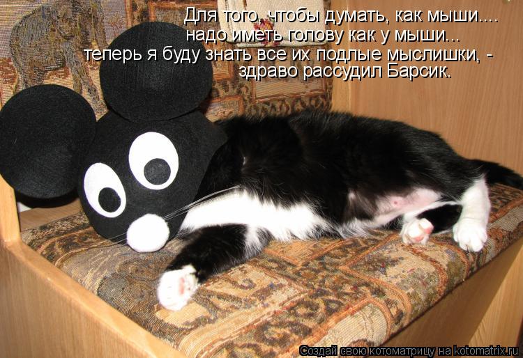 Для того, чтобы думать, как мыши.... надо иметь голову как у мыши... теперь я буду знать все их под... Котоматрица: Для того, чтобы думать, как мыши.... надо иметь голову как у мыши... теперь я буду знать все их подлые мыслишки, - здраво рассудил Барсик.
