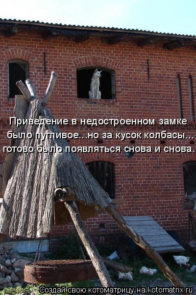 Котоматрица: Приведение в недостроенном замке было пугливое...но за кусок колбасы... готово было появляться снова и снова...