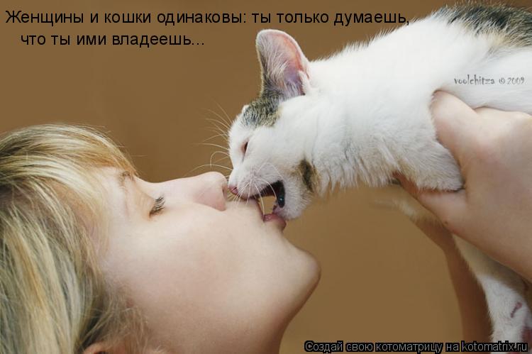 Котоматрица: Женщины и кошки одинаковы: ты только думаешь, Женщины и кошки одинаковы: ты только думаешь, что ты ими владеешь...