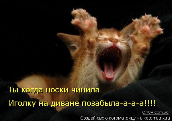 Иголку на диване позабыла-а-а-а!!!! Ты когда носки чинила... Котоматрица: Иголку на диване позабыла-а-а-а!!!! Ты когда носки чинила