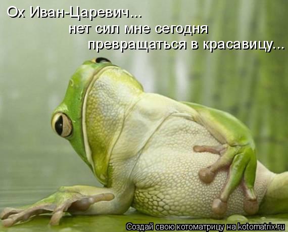 Котоматрица: Ох Иван-Царевич... нет сил мне сегодня  превращаться в красавицу...