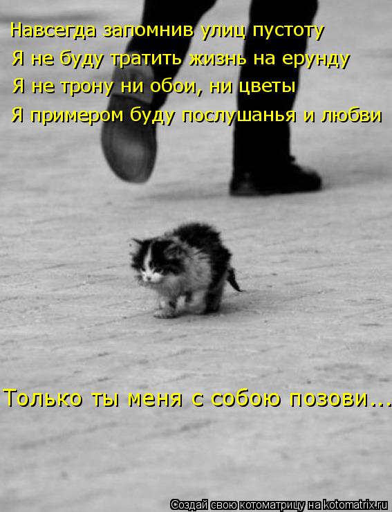 Навсегда запомнив улиц пустоту Я не буду тратить жизнь на ерунду Я не трону ни обои, ни цветы Я приме... Котоматрица: Навсегда запомнив улиц пустоту Я не буду тратить жизнь на ерунду Я не трону ни обои, ни цветы Я примером буду послушанья и любви Только ты ме