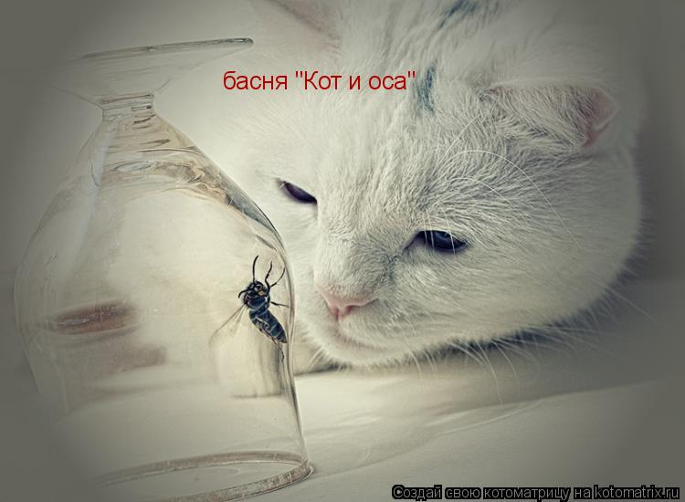 Котоматрица: басня "Кот и оса"