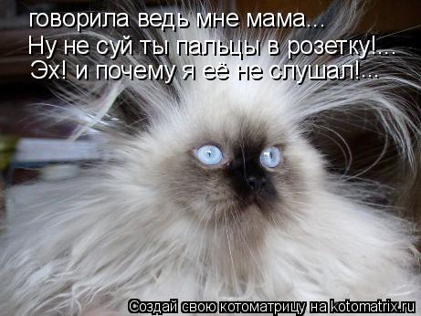 Котоматрица: говорила ведь мне мама...  Ну не суй ты пальцы в розетку!... Эх! и почему я её не слушал! ...