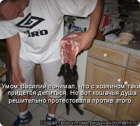 Котоматрица: Умом Василий понимал, что с хозяином таки  придётся делиться. Но вот кошачья душа  решительно протестовала против этого.
