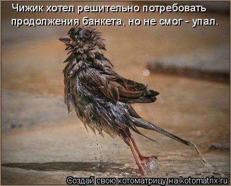 продолжения банкета, но не смог - упал. Чижик хотел решительно потребовать... Котоматрица: продолжения банкета, но не смог - упал. Чижик хотел решительно потребовать