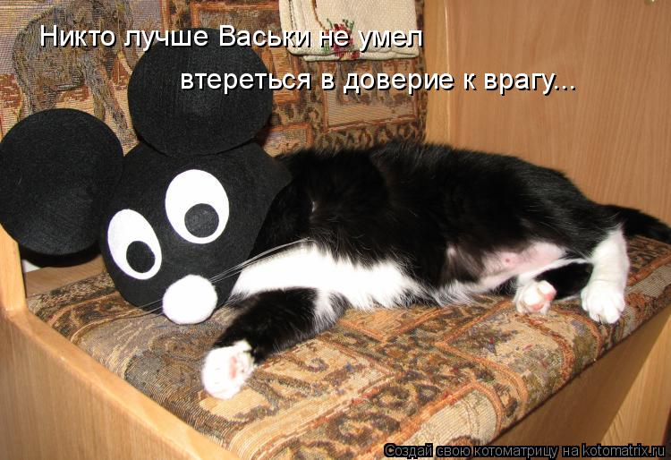 Никто лучше Васьки не умел втереться в доверие к врагу………... Котоматрица: Никто лучше Васьки не умел втереться в доверие к врагу………