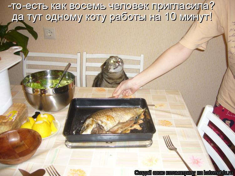 -то-есть как восемь человек пригласила? да тут одному коту работы на 10 минут!... Котоматрица: -то-есть как восемь человек пригласила? да тут одному коту работы на 10 минут!
