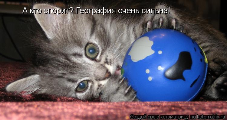 А кто спорит? География очень сильна!... Котоматрица: А кто спорит? География очень сильна!